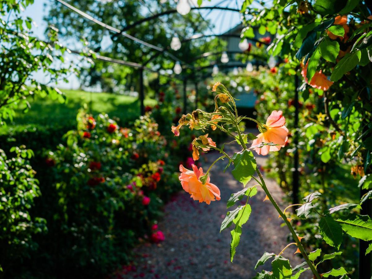 Schloss Freudenfels Eschenz Buitenkant foto
