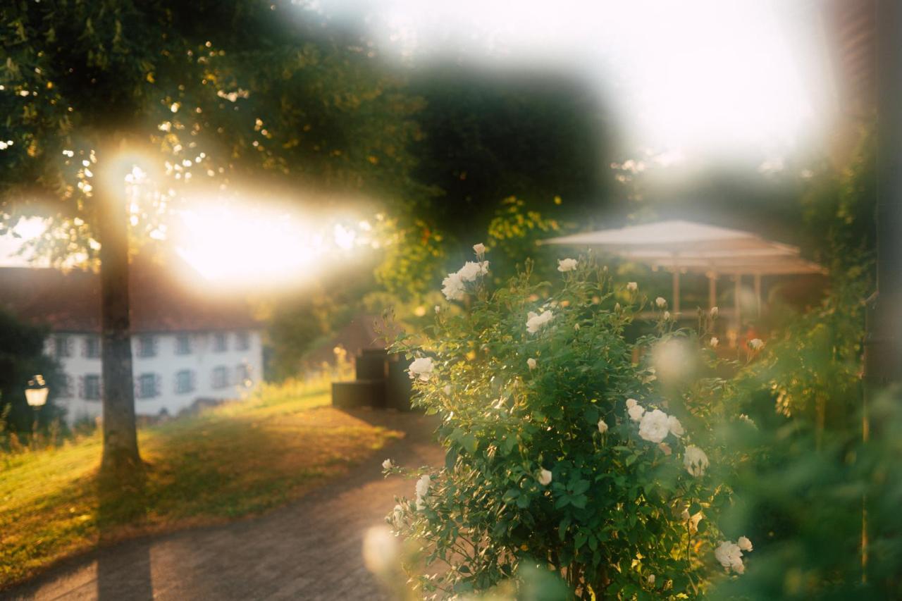 Schloss Freudenfels Eschenz Buitenkant foto