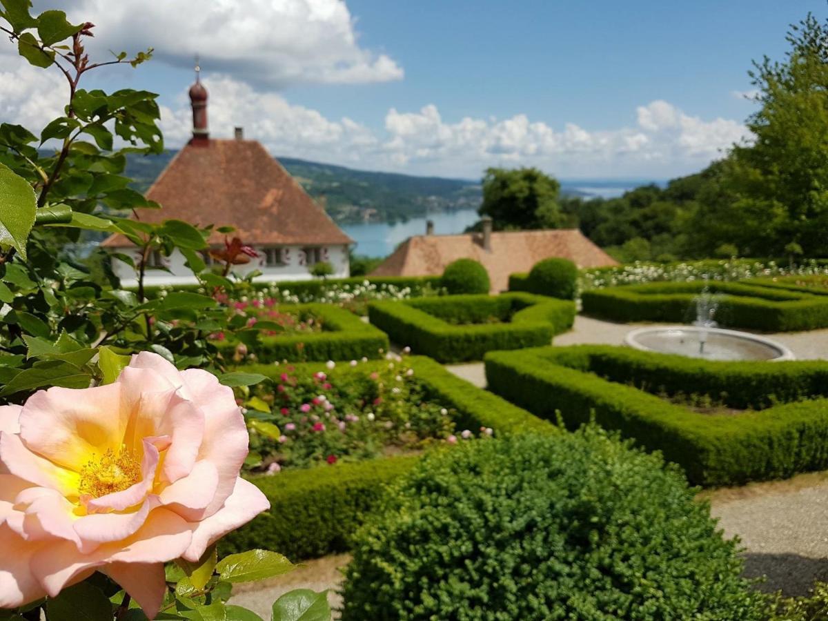 Schloss Freudenfels Eschenz Buitenkant foto