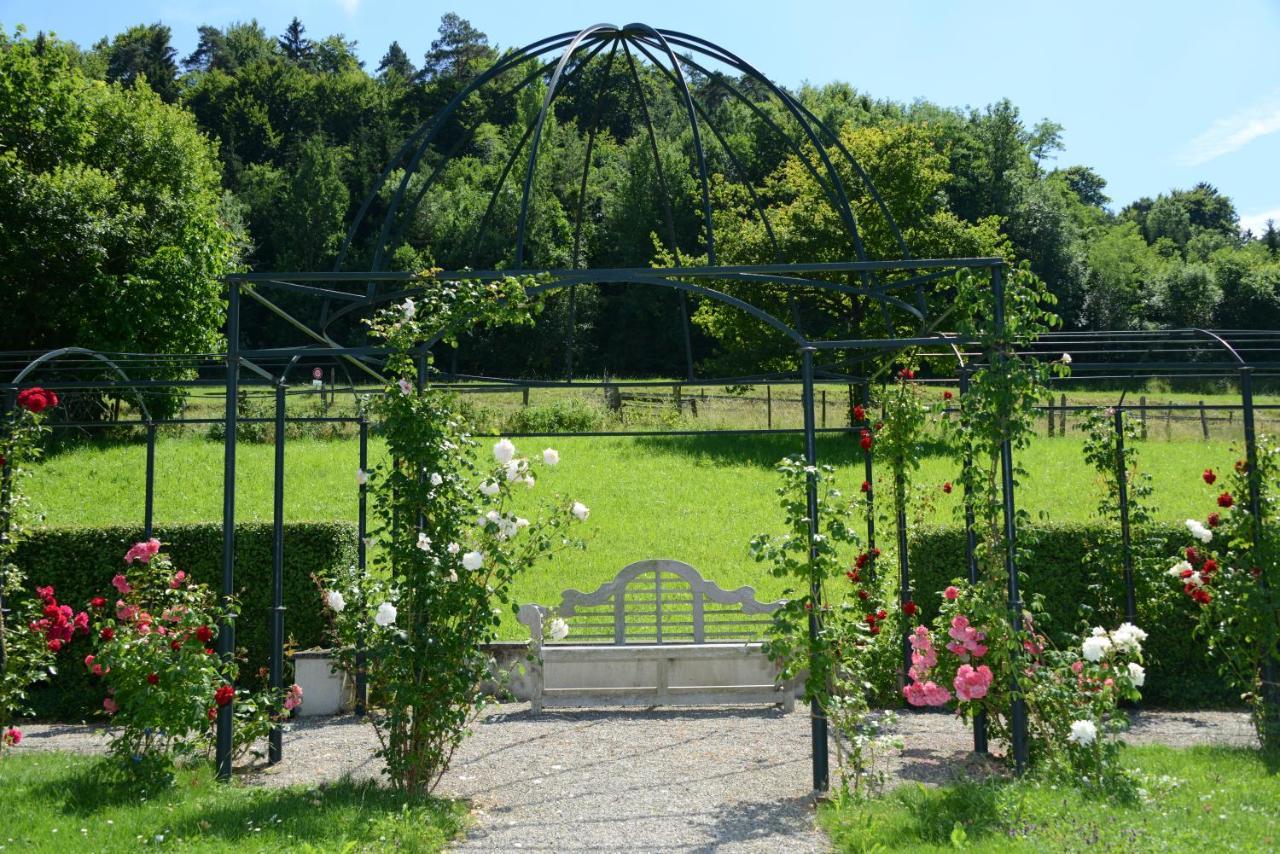 Schloss Freudenfels Eschenz Buitenkant foto