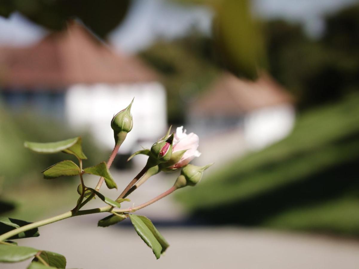 Schloss Freudenfels Eschenz Buitenkant foto